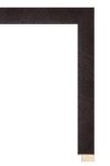 DE10501